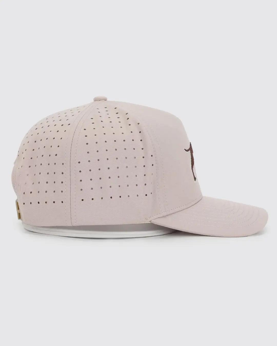 Bird Dog Hat