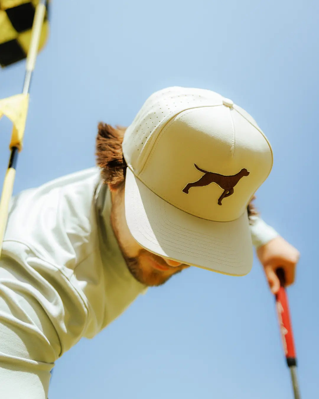 Bird Dog Hat